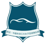 Wuhan Jiangda